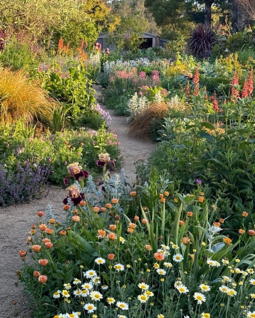 Serene Wildflower Garden Pathway
