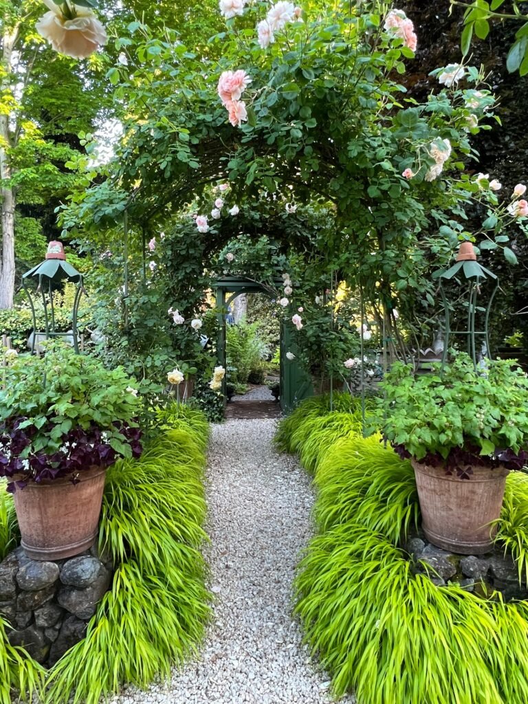 Whimsical Floral Garden Pathway
